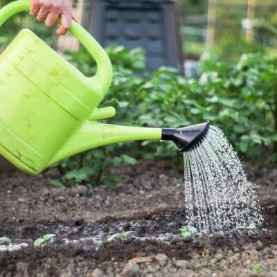 Watering Can