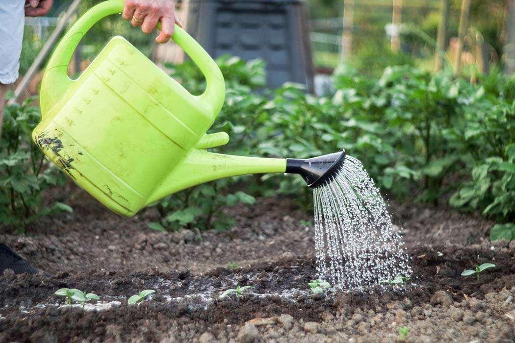 Watering Can